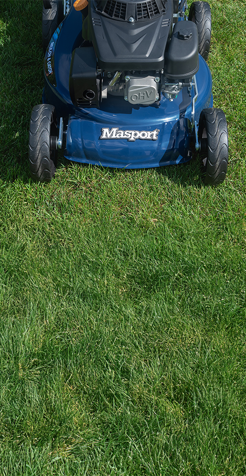 Popular Masport Mowers